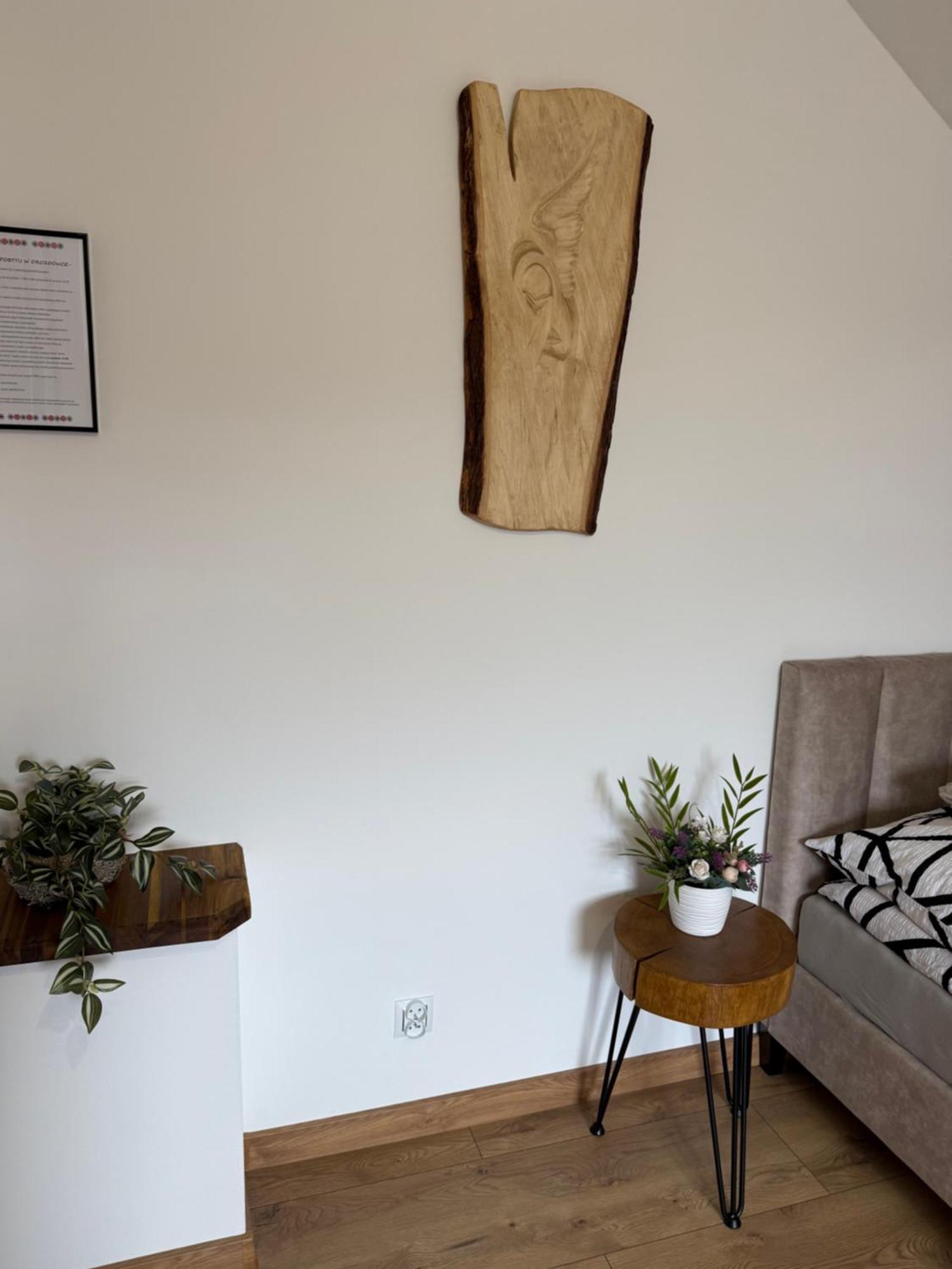 Apartament Z Tarasem I Pokoje Klimatyzowane -Drozdowka Solina Solina  Eksteriør billede